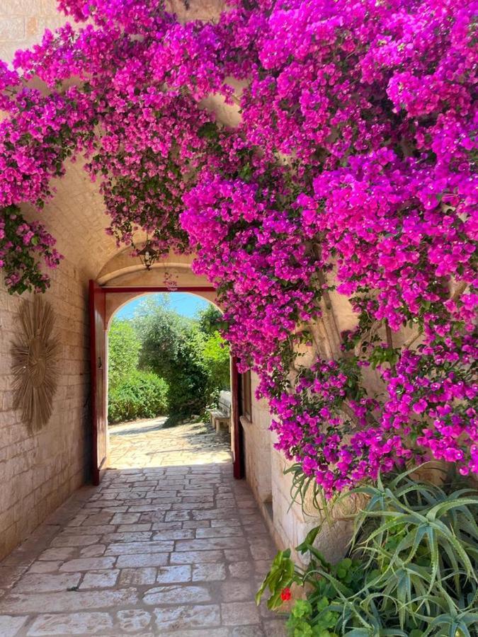 Masseria Morrone أوستوني المظهر الخارجي الصورة
