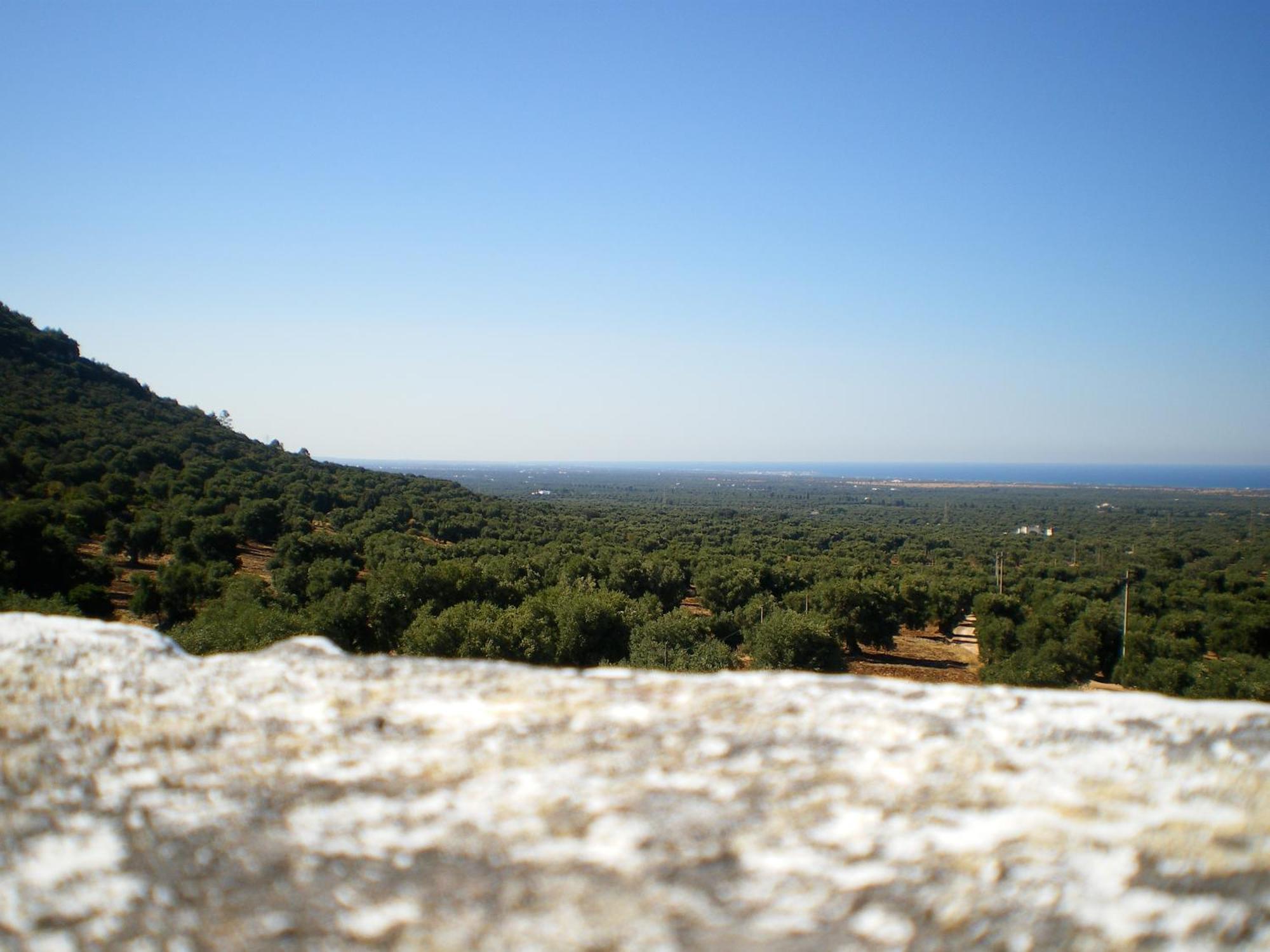 Masseria Morrone أوستوني المظهر الخارجي الصورة