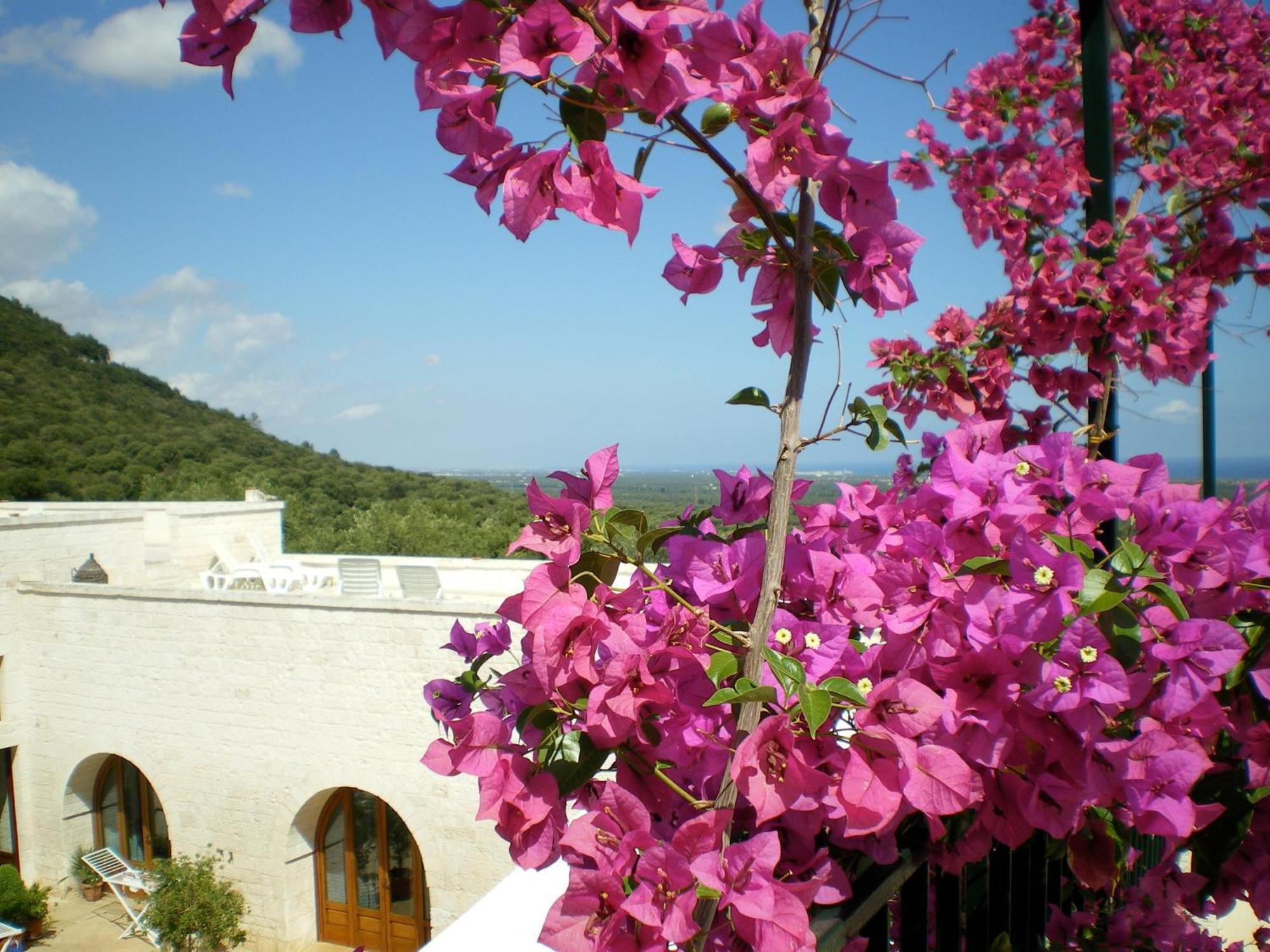 Masseria Morrone أوستوني المظهر الخارجي الصورة