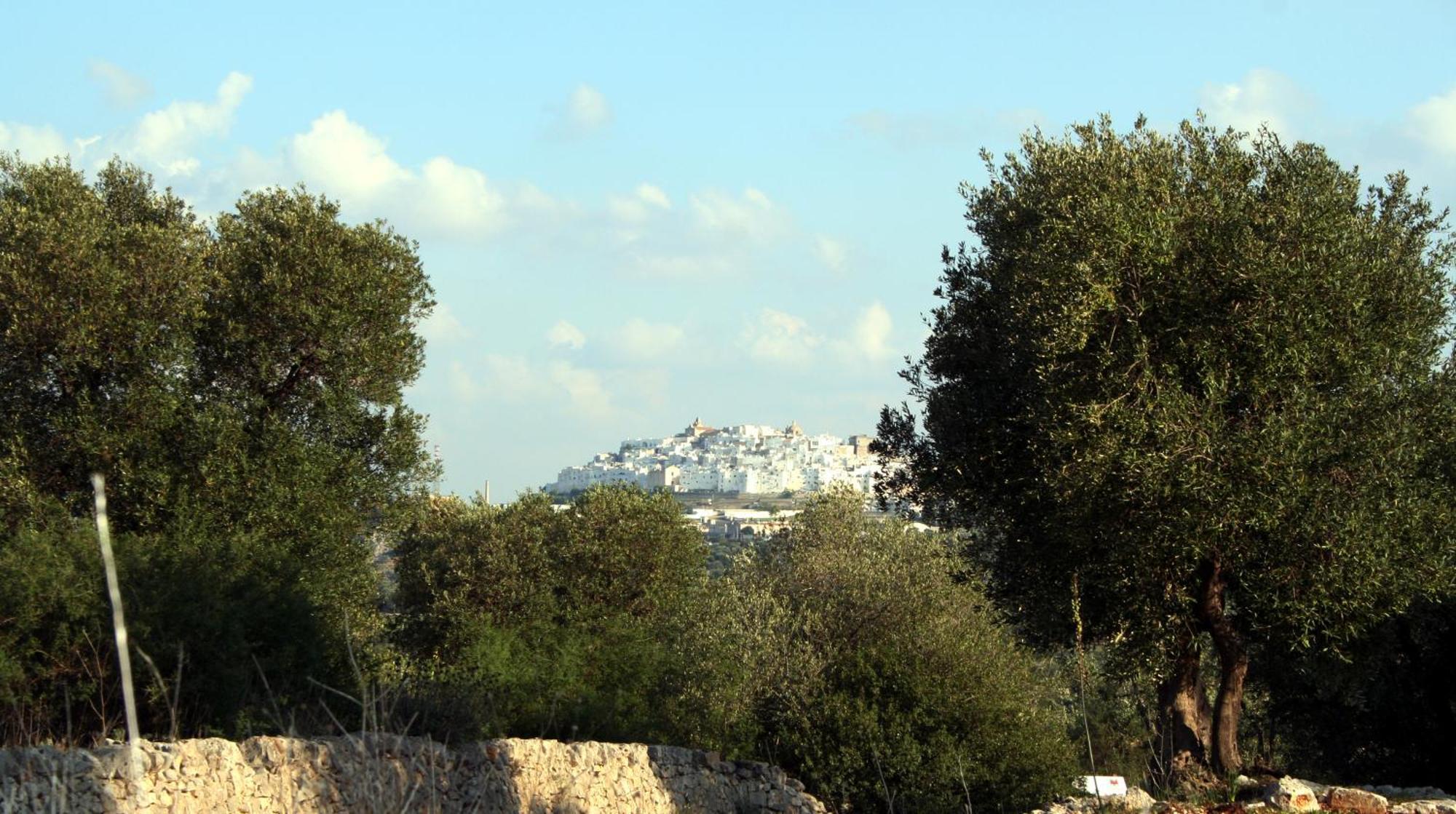 Masseria Morrone أوستوني المظهر الخارجي الصورة